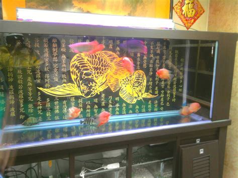 特殊魚缸|翊展水族